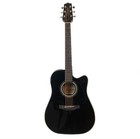 Takamine G Series Dreadnought Solid Top Gloss Black Acoustic electric Guitar