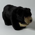 Webkinz Signature Black Bear Wkss2002 Plush Ganz Sealed Unused Code Retired