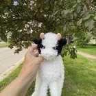 Toys R Us Animal Alley Plush Cow Bull Long Legs And Arms Floppy