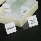 Diy-science Prepared Microscope Slides Set For Apologia Biology  Pack Of   