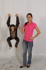 Realistic Chimpanzee Monkey Hanging From Rope With Two Hands Life Size Statue