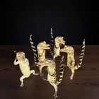5 Pcs Real Crocodile Taxidermy Specimen Rare Decor Stuffed Craft Special Gifts