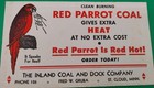 Vintage Red Parrot Coal Advertising Ink Blotter - Polly Want A Blotter  - 