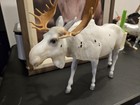 Breyer Roddick Moose Bull Black And White Piebald Figure Limited Edition 2025