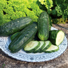 100  Double Yield Cucumber Seeds ---------- Heirloom -- Non Gmo ---------- Fresh
