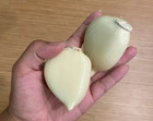 Garlic  Elephant Garlic Fresh Harvest Healthy Choose Garlic Seeds  Cloves  Bulb