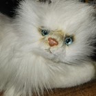 Russ Vintage Yomiko Himalayan Persian Cat Plush Stuffed Animal Realistic W  Tags
