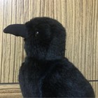 Jianeexsq Realistic Crow Plush  Cute Black Raven Stuffed Animal Plush Toy     