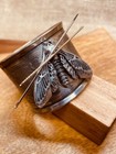 Moth Needle Minder Magnet