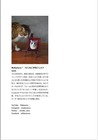 Portrait Of Cat Made Of Wool Felting   Japanese Craft Book How To Make Japan