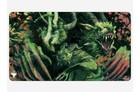 Modern Horizons 3 Birthing Ritual Standard Gaming Playmat Magic  The Gathering 