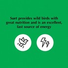 C s Wire Feeder  For Suet Nuggets  Peanuts  Or Sunflower  24 Ounces