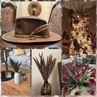Pheasant Tail Feathers 10   - 12  Colour Craft Hat Arts Decorations Wedding Uk