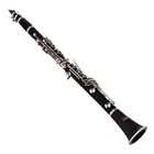 Cl-300 Student Clarinet B Flat