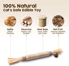 Cat Sticks 3 Pack Natural Silvervine Catnip Teeth Cleaning