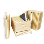 10-frame Double Deep Box Hive Kit