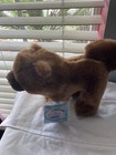 Ganz Webkinz Signature Chow Chow Dog Plush Wks1078 With Unused Sealed Code