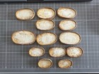Set Of 13 Antique 19th Century Grand Tour Plaster Greek Roman Coin Casts