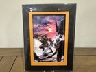 Legend Of Zelda Limited Edition Laser Cel Wind Waker Twilight Princess Botw Lot