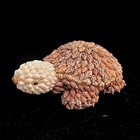 Vintage Turtle Figurine Seashell Art Handcrafted Folk Sculpture D  cor Statue