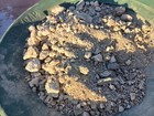 25 Lbs Gold Ore  Blue Mountain Mine High Grade Gravel Size Pieces