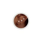 Backless Half Hoop Earrings For Women  14k Gold   Silver Plated Jewelry Set