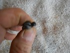 Ww1 Enfield No 1 Mk 3 Smle Triggerguard  Screws Front   Rear Number 1 Mark Iii