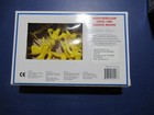 Armies In Plastic  5413 China 1900 Boxer Rebellion 1 32 F 18  7 Poses In Yellow