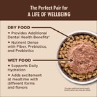 Core Pate Adult Wet Cat Food  Natural  Protein-rich  Grain Free  5 5 Ounce