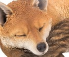 Fox Sleeping Garden Statue Garden Decoration Home Decor Animal Sculpture