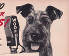 1944 Gaines Dog Food Vtg Print Ad 8 x11  Schnauzer At Radio Woof Microphone