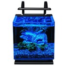 Marineland 3 Gallon Glass Aquarium Kit With Filter And Led Lights