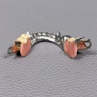 Vintage Dentures False Teeth Partial Dentist Oddities Dental Study