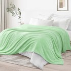 Light Green King Size Blanket Bed 300gsm Soft Warm Fleece Fabric 90x104 Inch