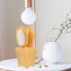 4-piece Hair Brush Comb Set With Storage Holder For Wet And Dry Hair Care