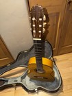 Flamenco Guitar - Paco Rey