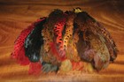 Ringneck Pheasant Skin