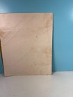 Original 1970 St  Louis Cardinals Baseball Team Issued Color Photo    