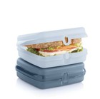 Tupperware Square Hinged Locking Sandwich Keepers Set      New