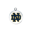 Notre Dame Glass Cabochon Charms