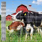 4 5 6ft X 164 328ft Farm Fence Outdoor Galvanized Cattle Fence Animal Protection
