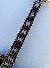 6 Strings Electric Guitar Glossy Black Finished Bone Nut Solid Body Guitarra