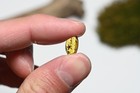 Rare Tropidogyne Pikei Flower - Fossil Insect Inclusion In Burmese Amber