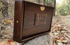 Concert Shruti Box  Dark Brown Color padded Carry Bag  Teak Wood  Premium Shruti