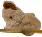 Vintage Eden Teddy Bear Plush Stuffed Animal 12  X 9  Tan Brown Lying On Tummy