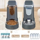 Automatic Cat Feeder   Water Dispenser W  Stainless Steel Bowl Dog Gravity Food