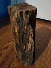 Natural  Large Petrified Wood Log From Arizona Dating To The Triassic Epoch