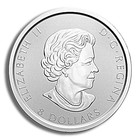 2020 1 5 Oz Canadian North American Bald Eagle Silver Coin  lot Of 5 