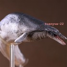 Pnso Basilosaurus Prehistoric Marine Mammal Model Toy Collect 50cm Gift