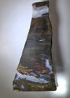Exceptional Colorful Jasper Agate Slab     34 9 Grams  Sja003
